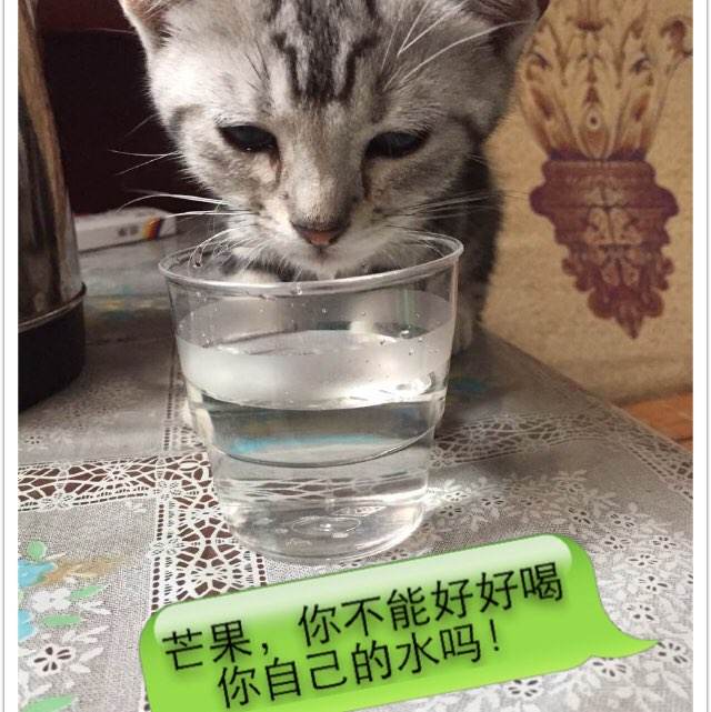 幼师资格证哪里能办理